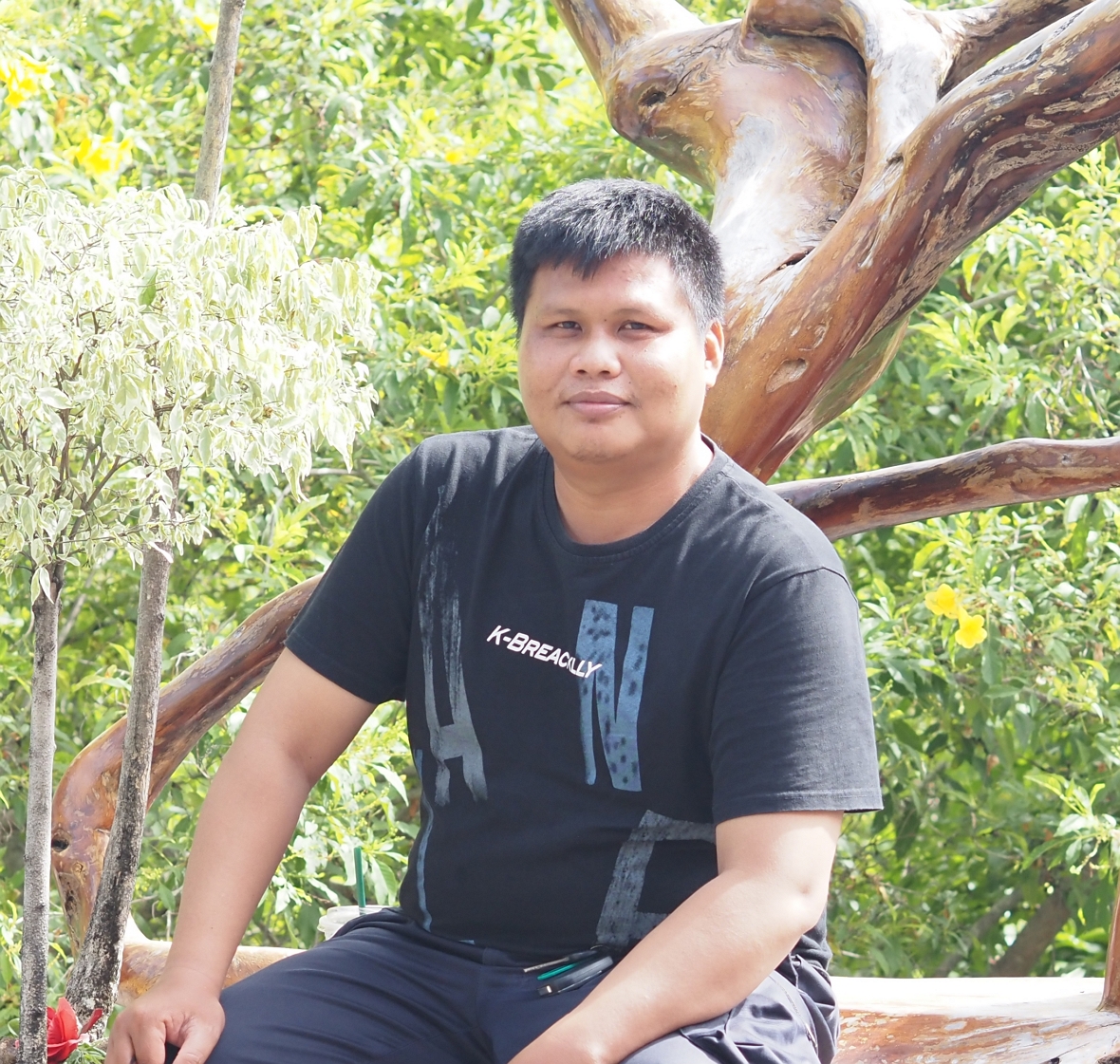 Programmer Tester Photo